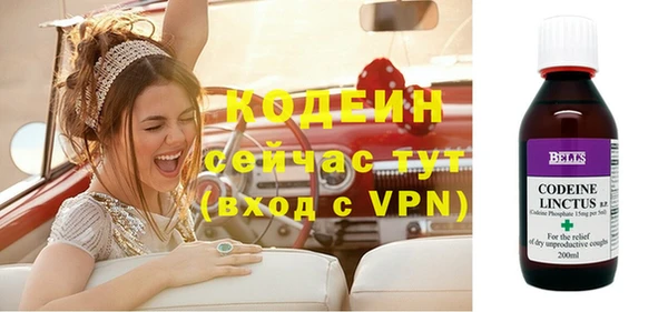 гидра Каменногорск
