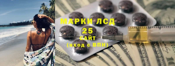 гидра Каменногорск