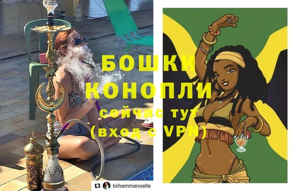 гидра Каменногорск