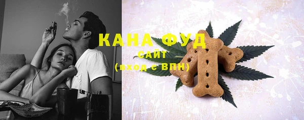 гидра Каменногорск