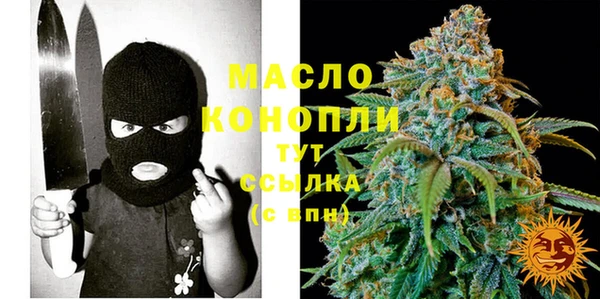 МДПВ Инсар