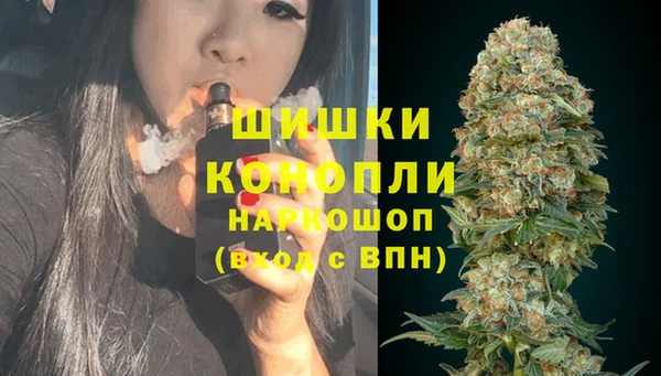 гидра Каменногорск