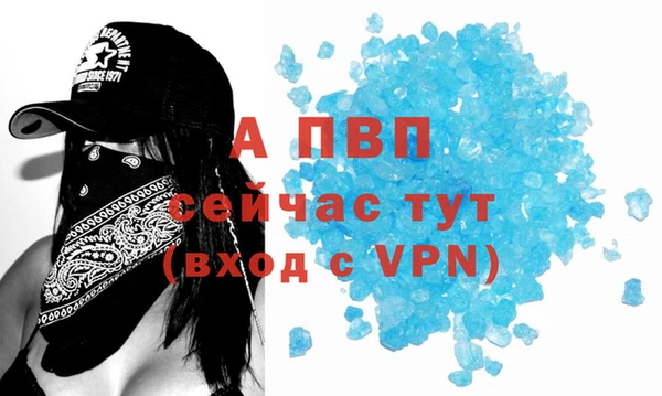 гидра Каменногорск