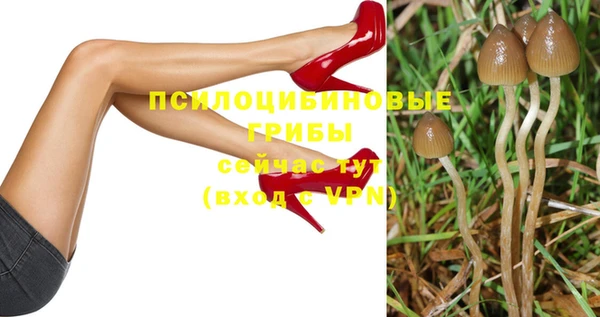 гидра Каменногорск