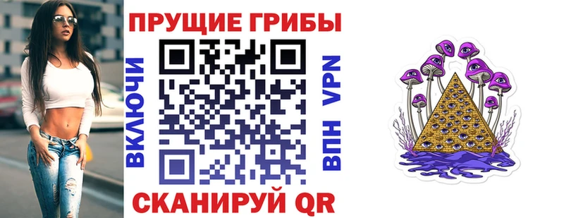 хочу наркоту  Приозерск  Галлюциногенные грибы Psilocybine cubensis 